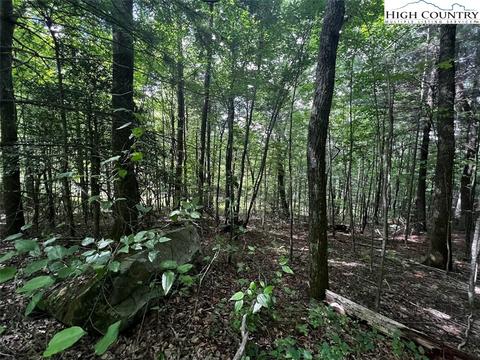 tbd Phillips Gap Rd, Purlear, NC 28665 photo 15