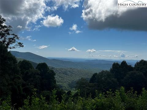 tbd Phillips Gap Rd, Purlear, NC 28665 photo 5