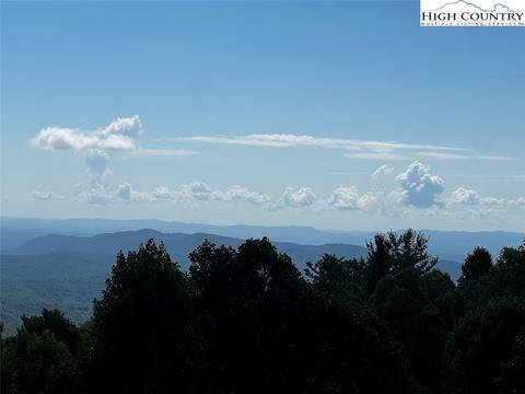 tbd Phillips Gap Rd, Purlear, NC 28665 photo 4
