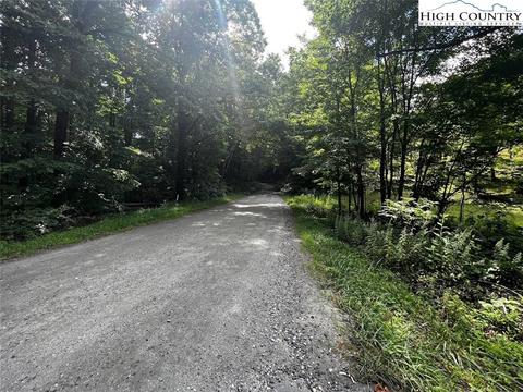 tbd Phillips Gap Rd, Purlear, NC 28665 photo 18