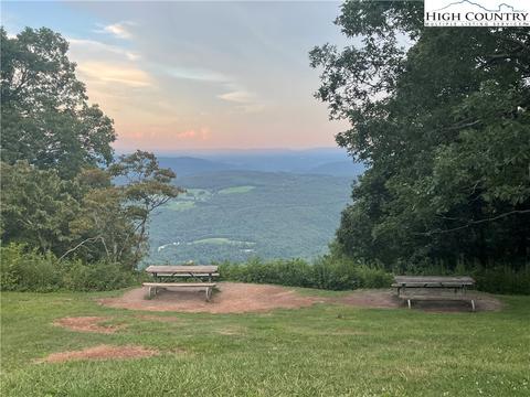 tbd Phillips Gap Rd, Purlear, NC 28665 photo 29
