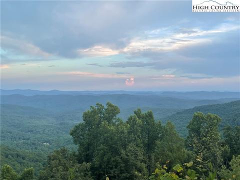 tbd Phillips Gap Rd, Purlear, NC 28665 photo 6
