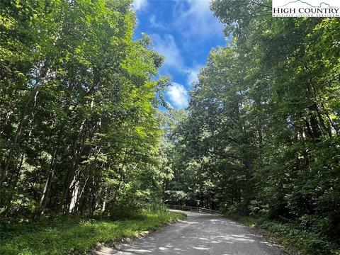 tbd Phillips Gap Rd, Purlear, NC 28665 photo 1