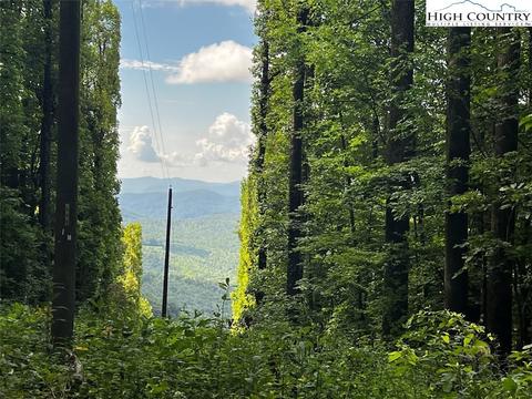 tbd Phillips Gap Rd, Purlear, NC 28665 photo 2