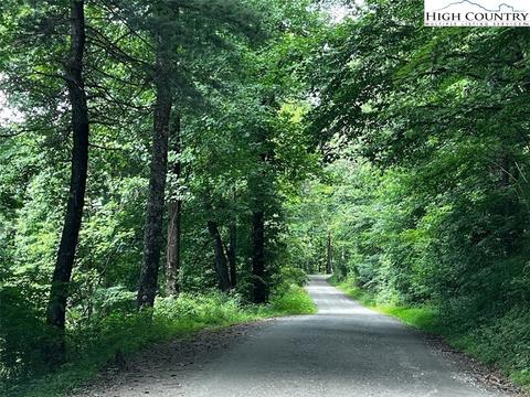 tbd Phillips Gap Rd, Purlear, NC 28665 photo 20