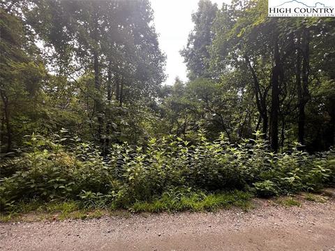 tbd Phillips Gap Rd, Purlear, NC 28665 photo 12