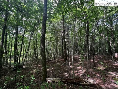 tbd Phillips Gap Rd, Purlear, NC 28665 photo 10