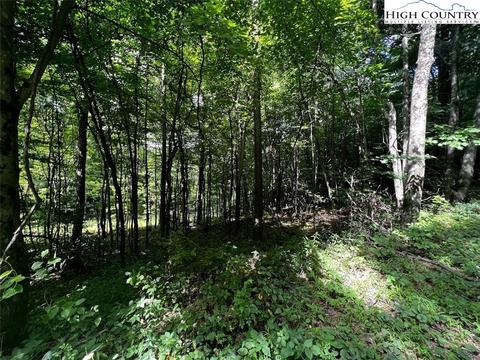 tbd Phillips Gap Rd, Purlear, NC 28665 photo 9