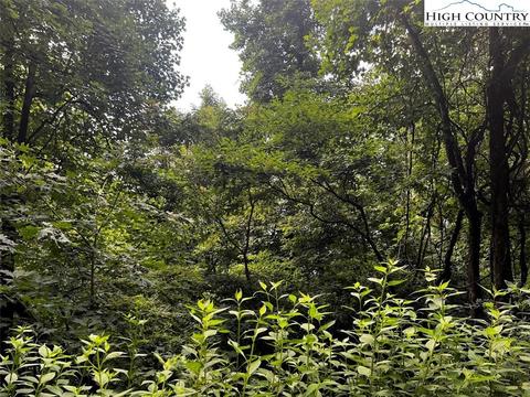 tbd Phillips Gap Rd, Purlear, NC 28665 photo 11