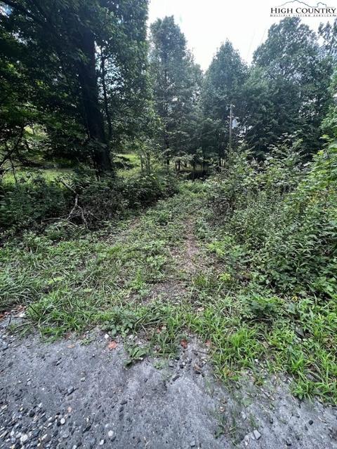 tbd Phillips Gap Rd, Purlear, NC 28665 photo 17