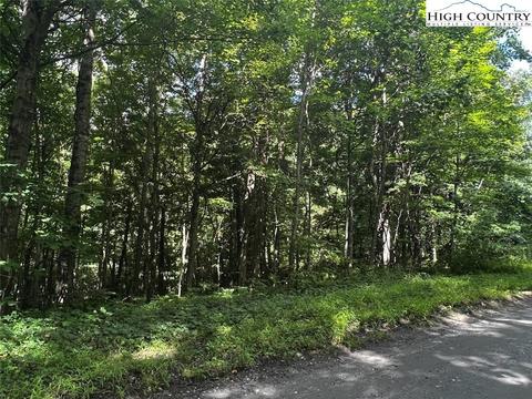 tbd Phillips Gap Rd, Purlear, NC 28665 photo 8