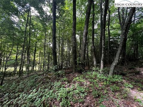 tbd Phillips Gap Rd, Purlear, NC 28665 photo 13