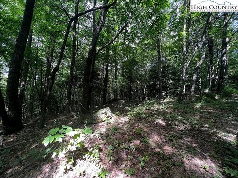 tbd Phillips Gap Rd, Purlear, NC 28665 photo 14
