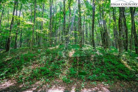 Lot 36 Marta Lane, Zionville, NC 28698