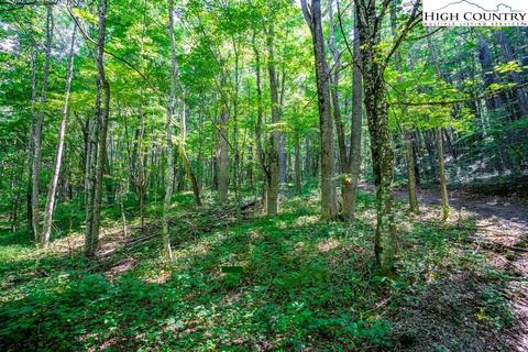TBD Little Bear Run, Zionville, NC 28698
