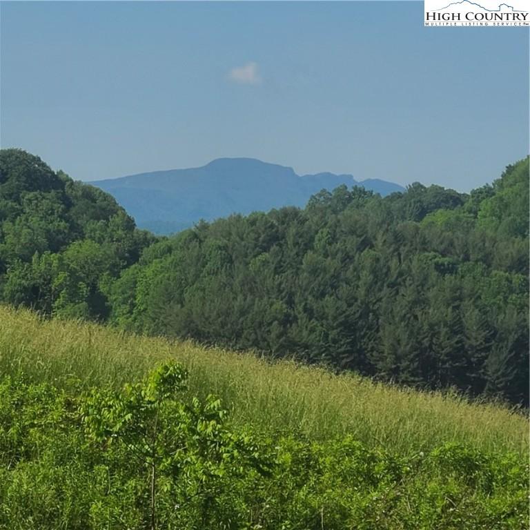  476 Will Perry Rd, Vilas, NC 28692 photo 1