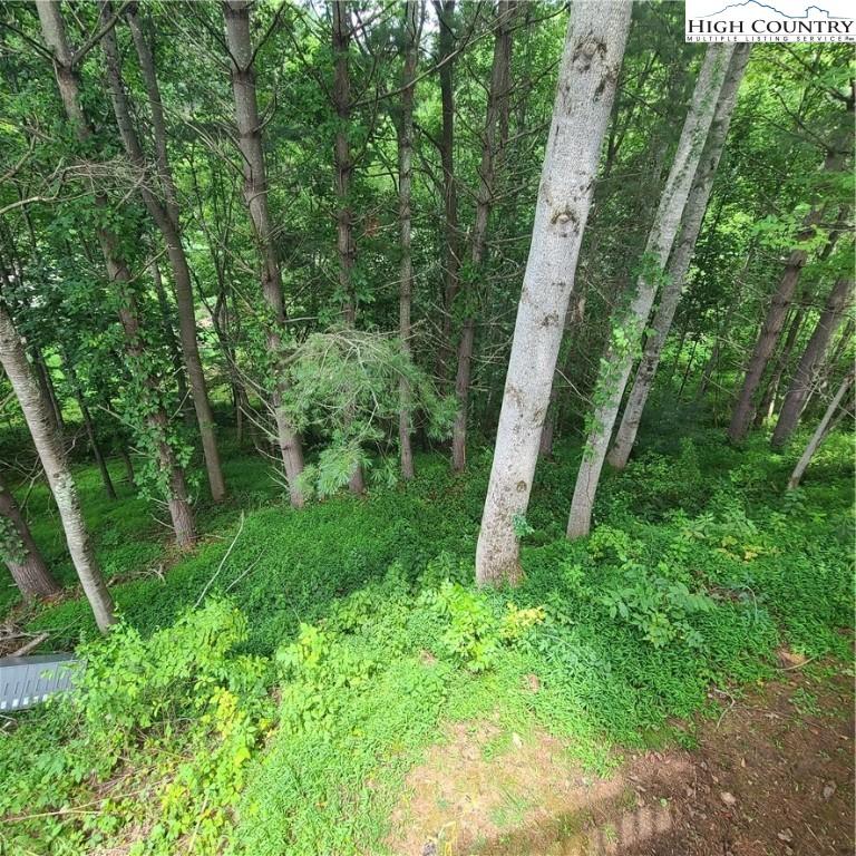  476 Will Perry Rd, Vilas, NC 28692 photo 38