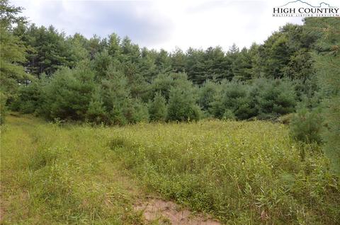 TBD Shawtown Road, Glade Valley, NC 28627
