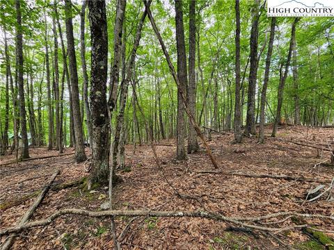104 Poplar Dr, Beech Mountain, NC 28604 photo 6