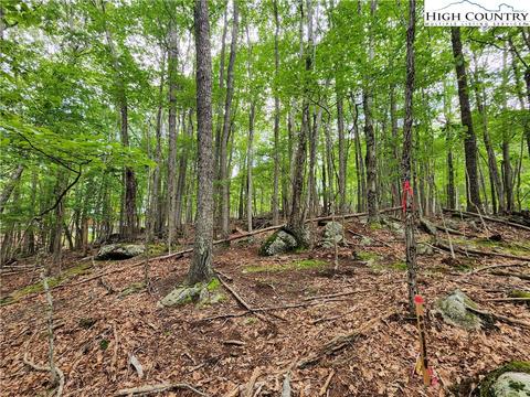 104 Poplar Dr, Beech Mountain, NC 28604 photo 11