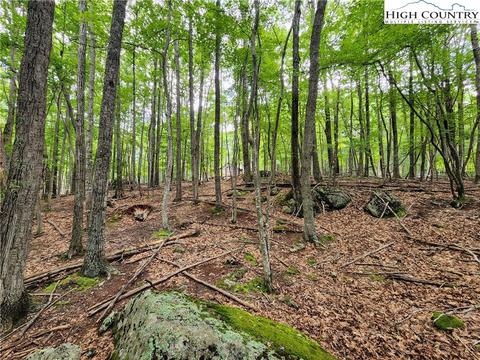 104 Poplar Dr, Beech Mountain, NC 28604 photo 13