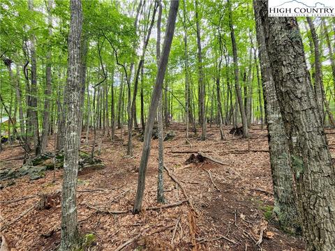 104 Poplar Dr, Beech Mountain, NC 28604 photo 8