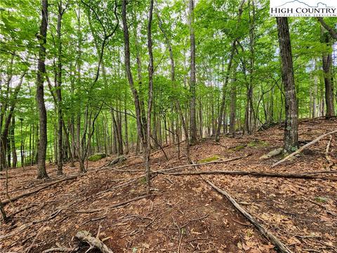 104 Poplar Dr, Beech Mountain, NC 28604 photo 7