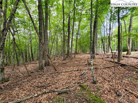 104 Poplar Dr, Beech Mountain, NC 28604 photo 5