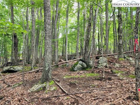 104 Poplar Dr, Beech Mountain, NC 28604 photo 12