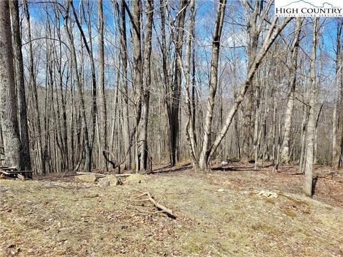 107 Owl Cir, Beech Mountain, NC 28604 photo 2