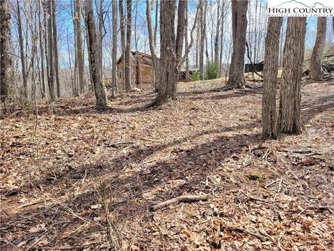 107 Owl Cir, Beech Mountain, NC 28604 photo 10
