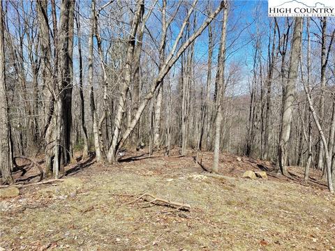 107 Owl Cir, Beech Mountain, NC 28604 photo 4