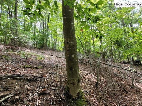 107 Owl Cir, Beech Mountain, NC 28604 photo 8