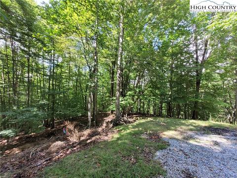 107 Owl Cir, Beech Mountain, NC 28604 photo 3
