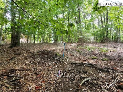 107 Owl Cir, Beech Mountain, NC 28604 photo 1