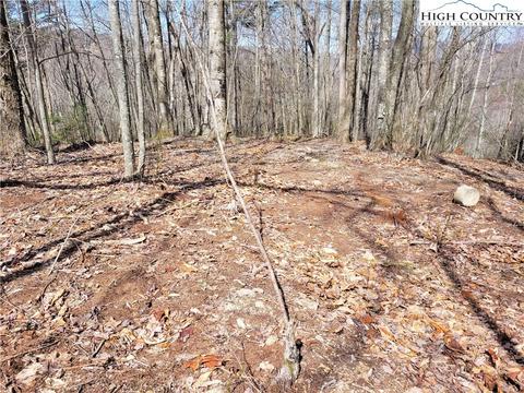 107 Owl Cir, Beech Mountain, NC 28604 photo 5