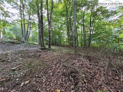 107 Owl Cir, Beech Mountain, NC 28604 photo 12