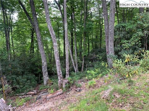 1126 Pine Ridge Rd, Beech Mountain, NC 28604 photo 2