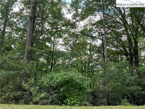 1126 Pine Ridge Rd, Beech Mountain, NC 28604 photo 3