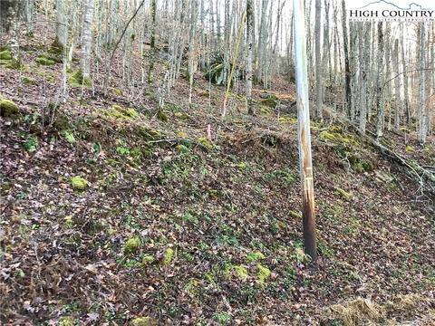 197 Wild Daisy Ln, Beech Mountain, NC 28604 photo 9