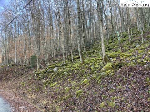 197 Wild Daisy Ln, Beech Mountain, NC 28604 photo 2