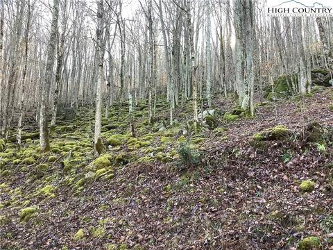 197 Wild Daisy Ln, Beech Mountain, NC 28604 photo 5