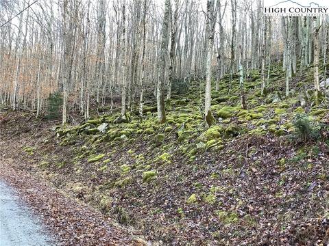 197 Wild Daisy Ln, Beech Mountain, NC 28604 photo 6