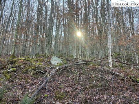 197 Wild Daisy Ln, Beech Mountain, NC 28604