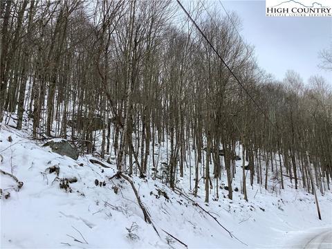 197 Wild Daisy Ln, Beech Mountain, NC 28604 photo 12