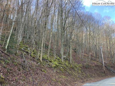 197 Wild Daisy Ln, Beech Mountain, NC 28604 photo 3