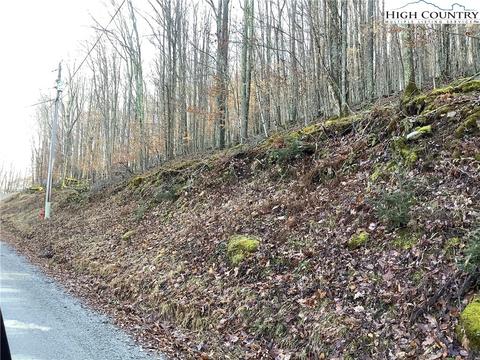 197 Wild Daisy Ln, Beech Mountain, NC 28604 photo 4