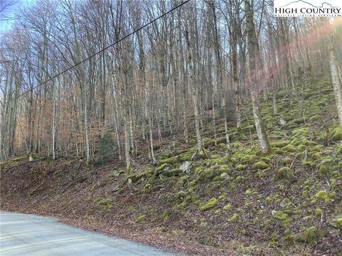 197 Wild Daisy Ln, Beech Mountain, NC 28604 photo 7