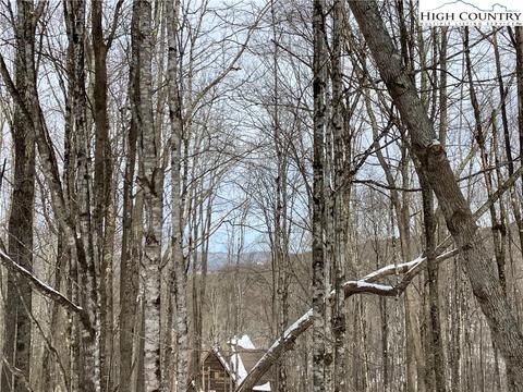 197 Wild Daisy Ln, Beech Mountain, NC 28604 photo 13