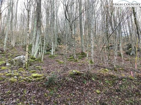 197 Wild Daisy Ln, Beech Mountain, NC 28604 photo 8